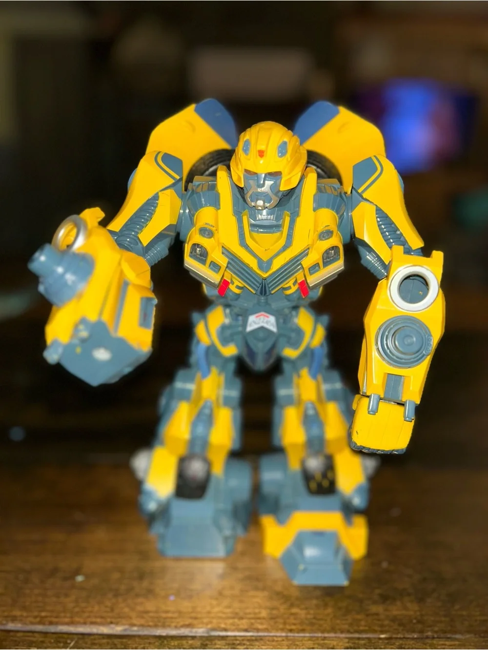 Bumblebee Transformer